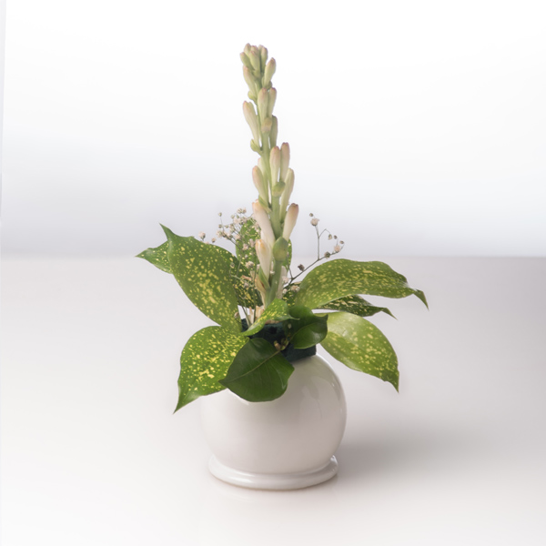 Pearl Small Vase